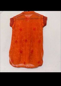Orange Embroidered sheer top