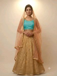 Sparkling Golden Lehenga Choli
