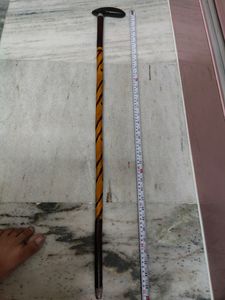 Men Standing Supporting Stick For Elder People