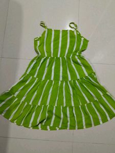 parrot cotton top