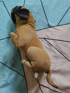 Cute Pug Stuffed Animal