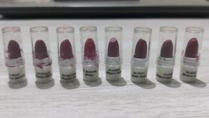 Set of 16 Lipsticks in Various Shades