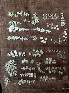 Floral Stickers - Natural Series