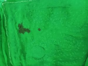GREEN CHIFFON SAREE WITH PiNK EMBROIDERY
