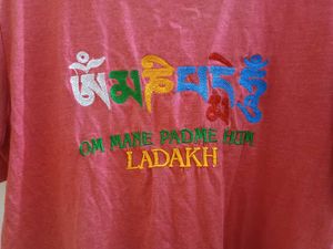 Dark Coral Pink Coloured T-shirt
