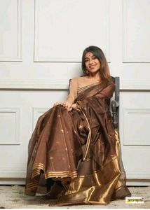 Elegant Brown Saree with Gold Border