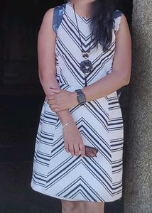 H &amp; M Women Dress
