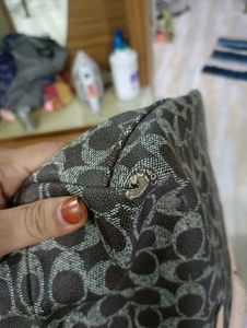 Coach Signature Print Tote Bag