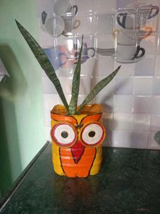Owl Planter