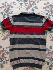 Men Striped Polo T-Shirt
