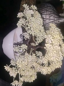 Beautiful Artificial Plant in Pot