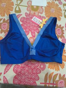 Lola &amp; Mae Blue Briefs - New