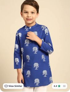 Blue Printed Kurta
