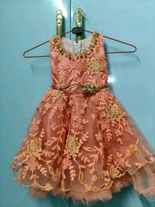 Beautiful Peach Embroidered Dress