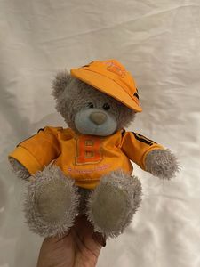 Cute Teddy Bear with Orange Outfit