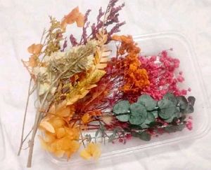 Dry Flower Box
