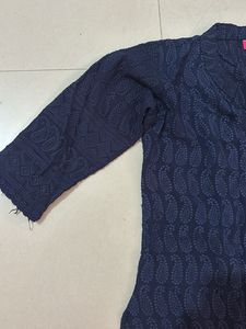 Elegant Blue Chikankari Kurta