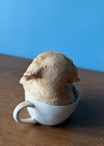 Adorable Puppy in a Teacup Figurine
