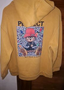 🔥🧸🐻AY TEDDY HOODIE 💯❤️🎁😍🌈🔥