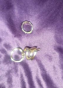 Elegant Dangle Earrings