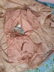 Elegant Peach Lace Saree with Gold Accents