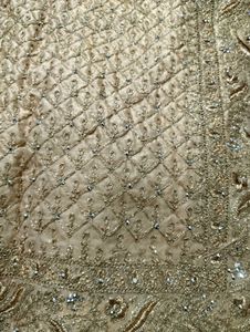 Embellished saree
