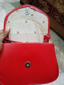 Beautiful Sling Bag