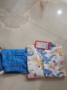 Cute Dinosaur Print Shirt