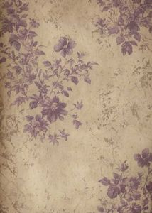 8 Piece of Wall Posters