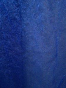 Sheer Blue Lantern Sleeve Top