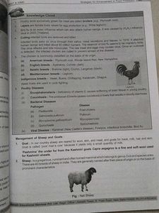 NEET &amp; AIIMS Zoology Study Package