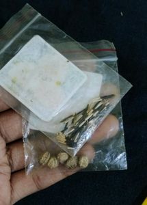 Summer Season Flower Seeds Combo