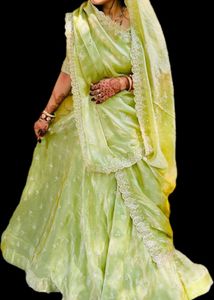 Pista choli With trendy blouse