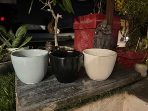White And  Blue Ceramic Planter With Plate