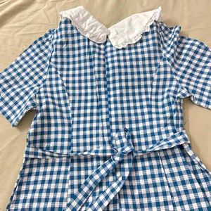 Blue Gingham Dress with Peter Pan Collar