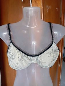 Sheer Lace Bra