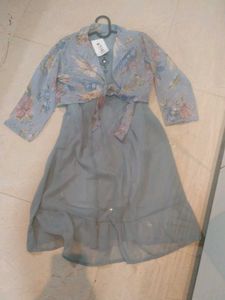 Stylish Printed dress
