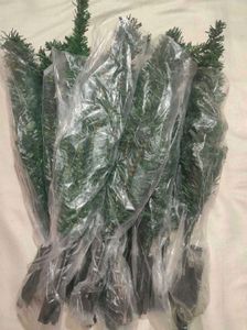 Cristmas Tree Without Decoration