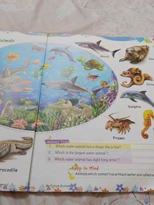 My Picture Dictionary - Educational Book