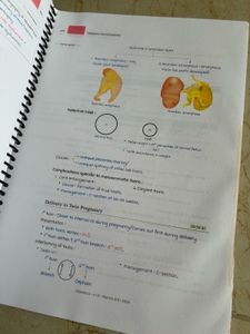 MARROW Edition 8 OBGYN notes COMBO.