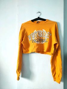 Orange Cropped Long Sleeve Top 🍊