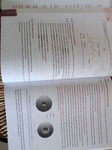 Class 11 Physics