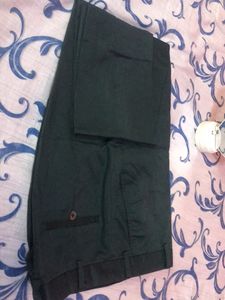 Green Office Pant