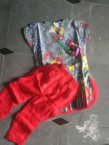 Embroidered Lehenga Choli