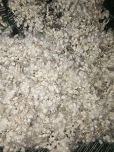 (Semal cotton pillow) 900gm