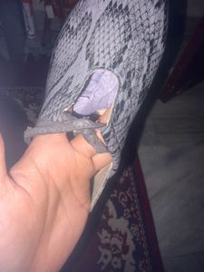 Snake Print Shoes