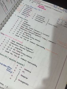 FMGE Notes bundle