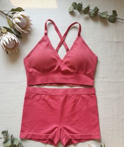 Coral Seamless Lingerie Set