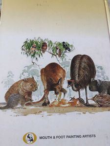 Teddy's Night Lost In The Bush Book-hard cover