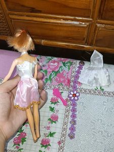 Barbie Doll with Accessories